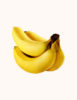 Raw fresh banana robusta / kela