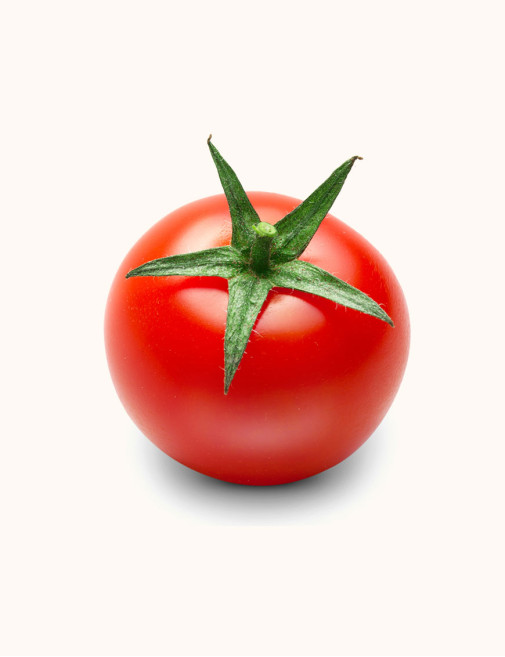 High nutrition tomatos