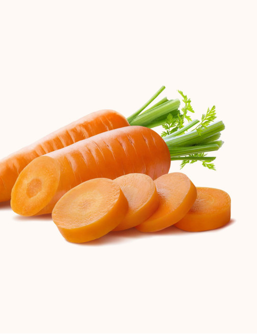 Organic Big Orange Carrot
