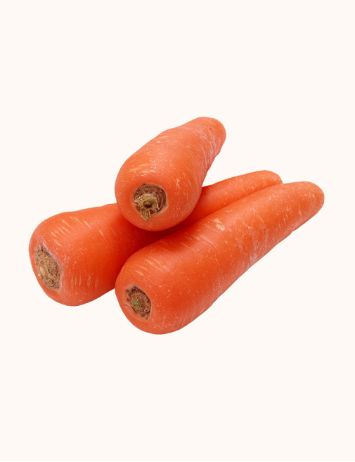 Organic Big Orange Carrot