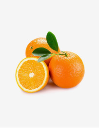 Fresh &  juicy  orange 