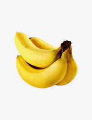 Raw fresh banana robusta / kela 