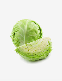 Healthy green cabbage