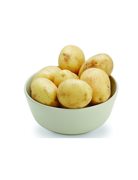 Bintje/cesar potatoes 