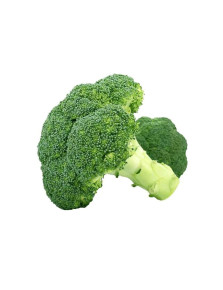 Cruciferous Broccoli