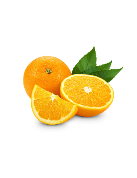Fresh Orange Juice 