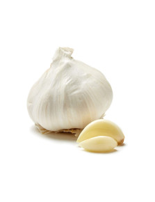 Wholesale Fresh Garlic