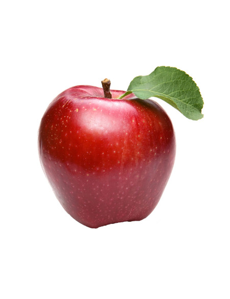 Apple Red Delicious 