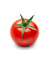 Hybrid fresh tomato