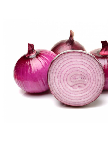 Turf Fresh Organic Onion