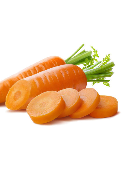 Carrot Early Nantes 