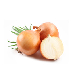 Turf Fresh Organic Onion