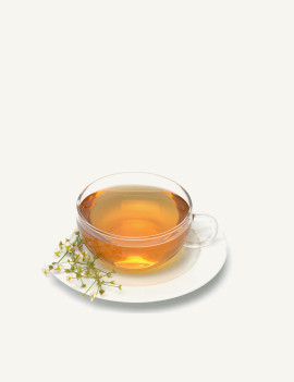 Mad-dog Weed (Alisma plantago-aquatica) herbal tea