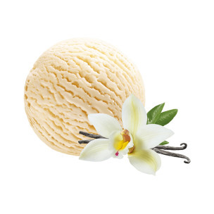 Movenpick Ice Cream Panna Cotta