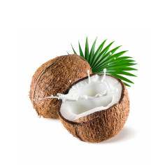 Coconut with milk splash and leaf on white background — Photo