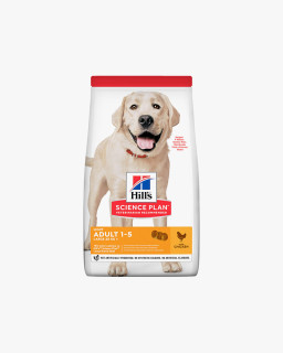 Hill’s Science Diet Dry Dog Food
