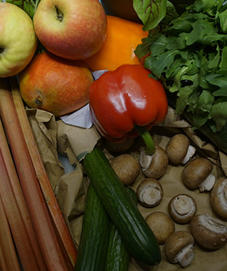 organic & fresh vegetables